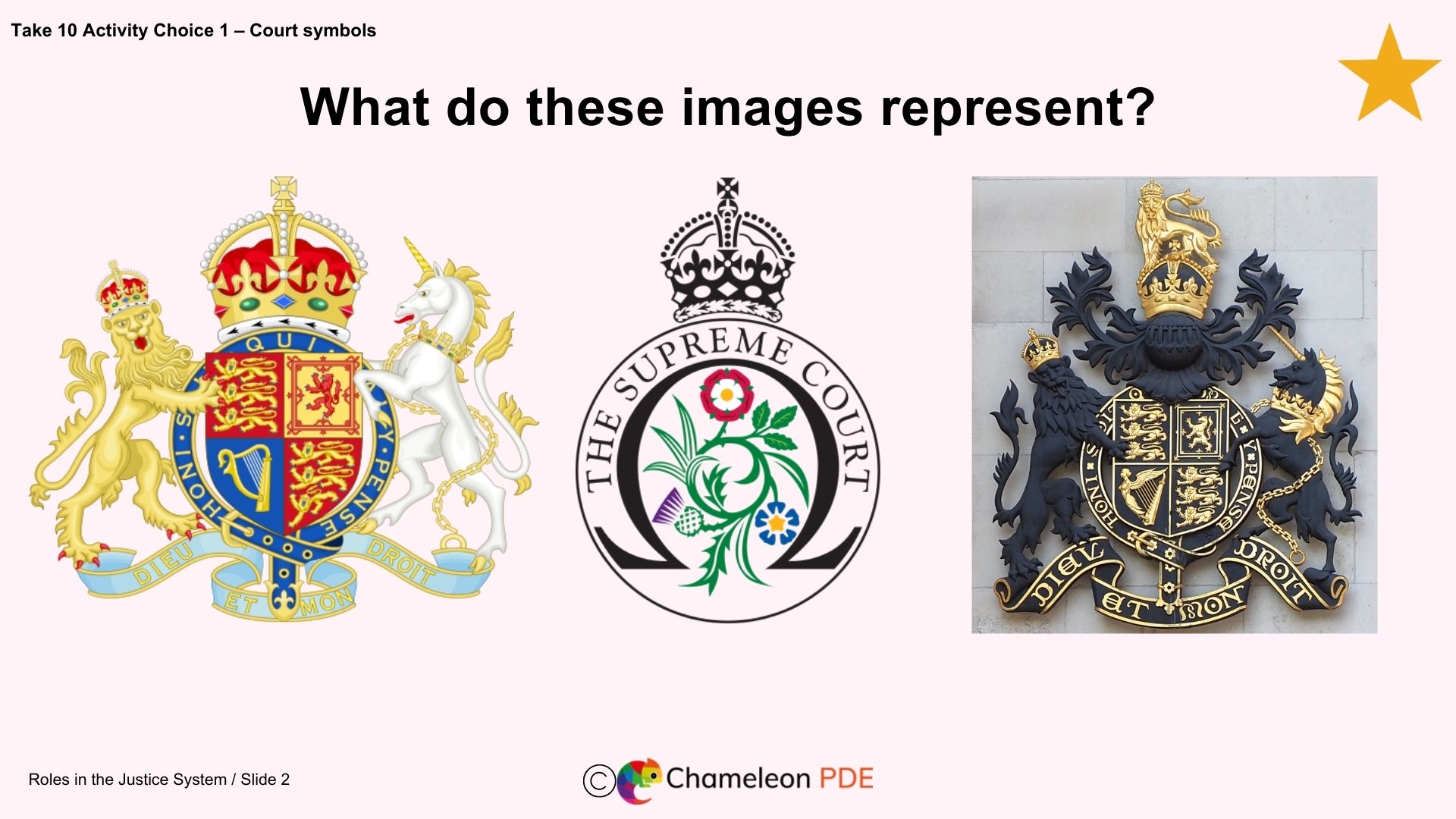 Roles in the justice system